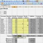 Lohnabrechnung Vorlage Excel Erstaunlich Wunderbar Excel Vorlagen Für Die Gehaltsabrechnung Galerie