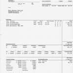 Lohnbescheinigung Vorlage Schönste sozialversicherungsnummer Lohnabrechnung