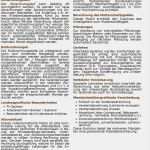 Lohnkonto Vorlage Cool Propers öd Professionelle Personalsoftware Propers öd