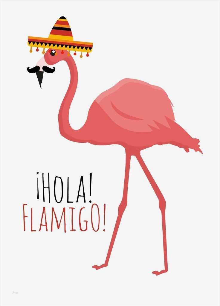 Lustige Weinetiketten Vorlagen Inspiration 1673 Besten Flamingos Bilder Auf Pinterest