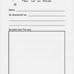 Lustiger Steckbrief Vorlage Erstaunlich Die Besten 25 Steckbrief Ideen Auf Pinterest