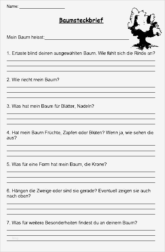 Lustiger Steckbrief Vorlage Genial Schulmaterial Arbeitsblätter Für Unterstufe