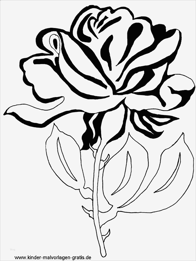 Mal Bilder Vorlagen Bewundernswert Ausmalbilder Blumen Kostenlos Malvorlagen Zum Ausdrucken