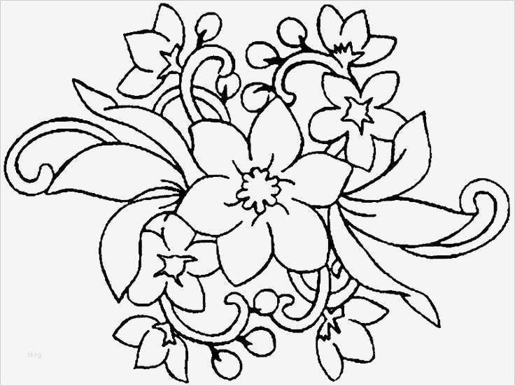 Mal Bilder Vorlagen Gut Die Besten 25 Blumen Ausmalbilder Ideen Auf Pinterest