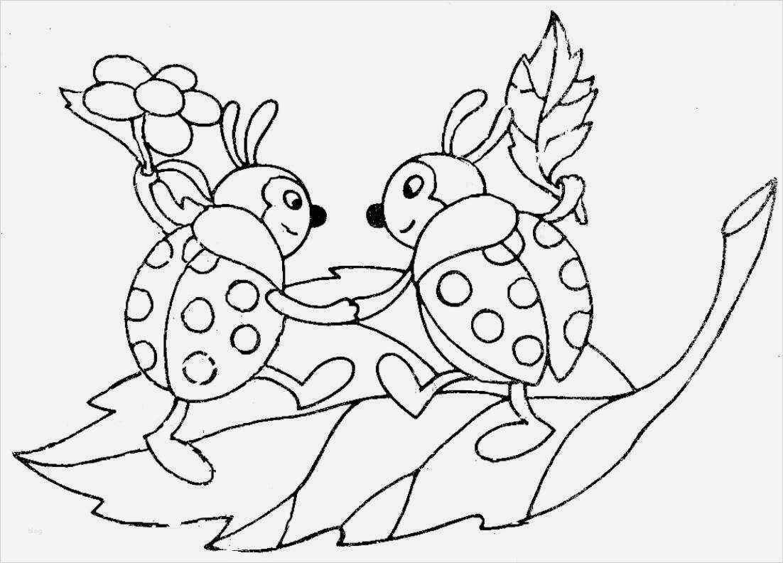 Mal Bilder Vorlagen Inspiration Puppen Malvorlagen Kostenlos Zum Ausdrucken Ausmalbilder