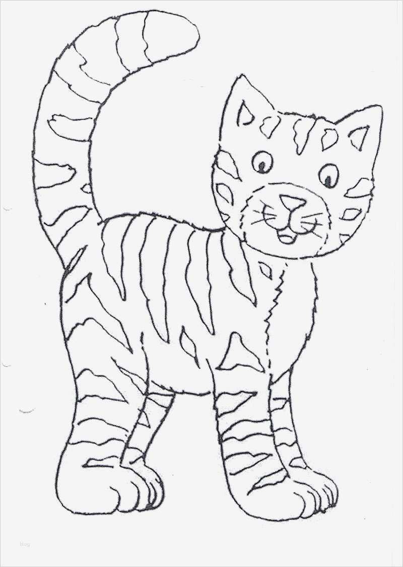 Malen Für Erwachsene Vorlagen Kostenlos Elegant Katze Ausmalbild – Ausmalbilder Für Kinder