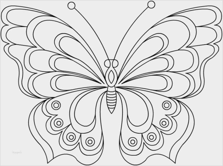 Malen Mit ölfarben Vorlagen Erstaunlich Malen Mit ölfarben Vorlagen Erstaunlich Schmetterling