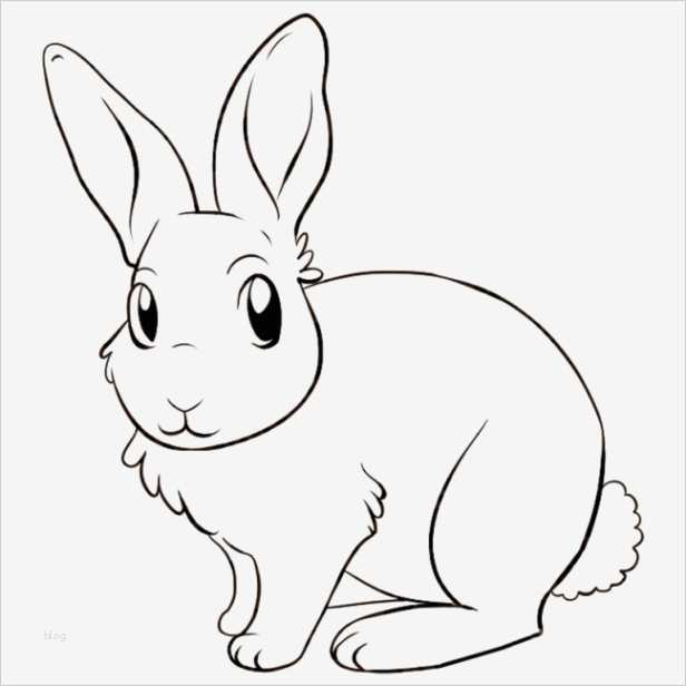 Malen Nach Zahlen Kostenlose Vorlagen Beste Malen Nach Zahlen Vorlagen Kostenlos Download Mernaload