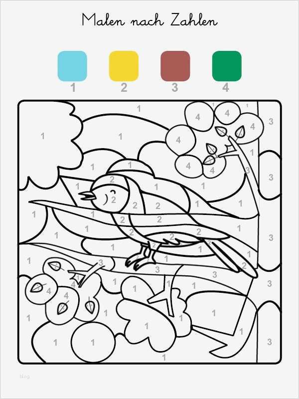 Malen Nach Zahlen Kostenlose Vorlagen Fabelhaft Die Besten 25 Ausmalbilder Eulen Ideen Auf Pinterest