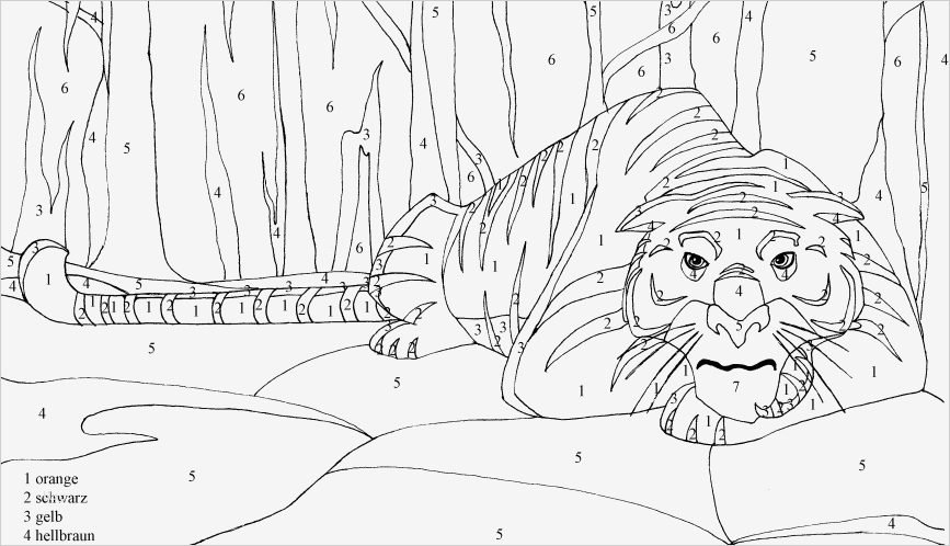 Malen Nach Zahlen Vorlagen Erstaunlich Vorlagen Zum Ausdrucken Archive Die Abenteuer Des Jungen