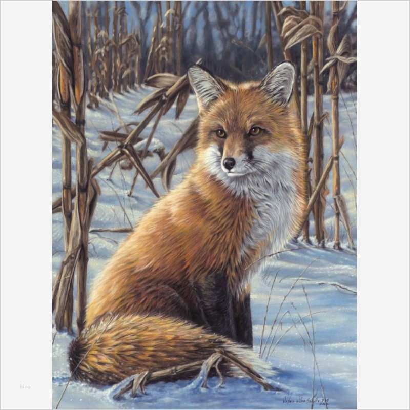 Malen Nach Zahlen Vorlagen Erwachsene Angenehm Fuchs Malen Nach Zahlen Vorlagen Mammut 12 99