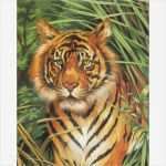 Malen Nach Zahlen Vorlagen Erwachsene Cool Tiger Malen Nach Zahlen Klein Mammut 8 89