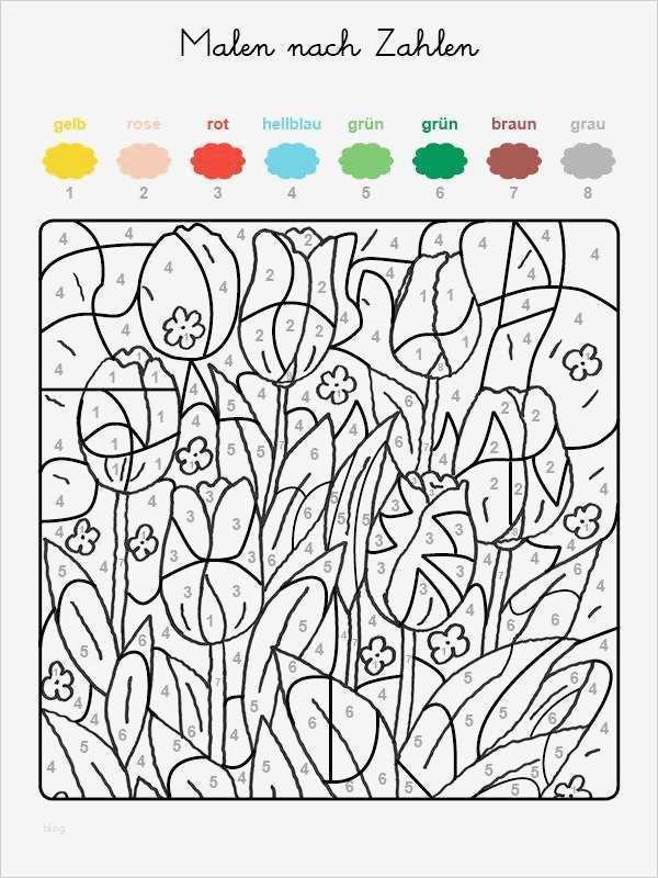 Malen Nach Zahlen Vorlagen Erwachsene Gut Kostenlose Malvorlage Malen Nach Zahlen Tulpenwiese