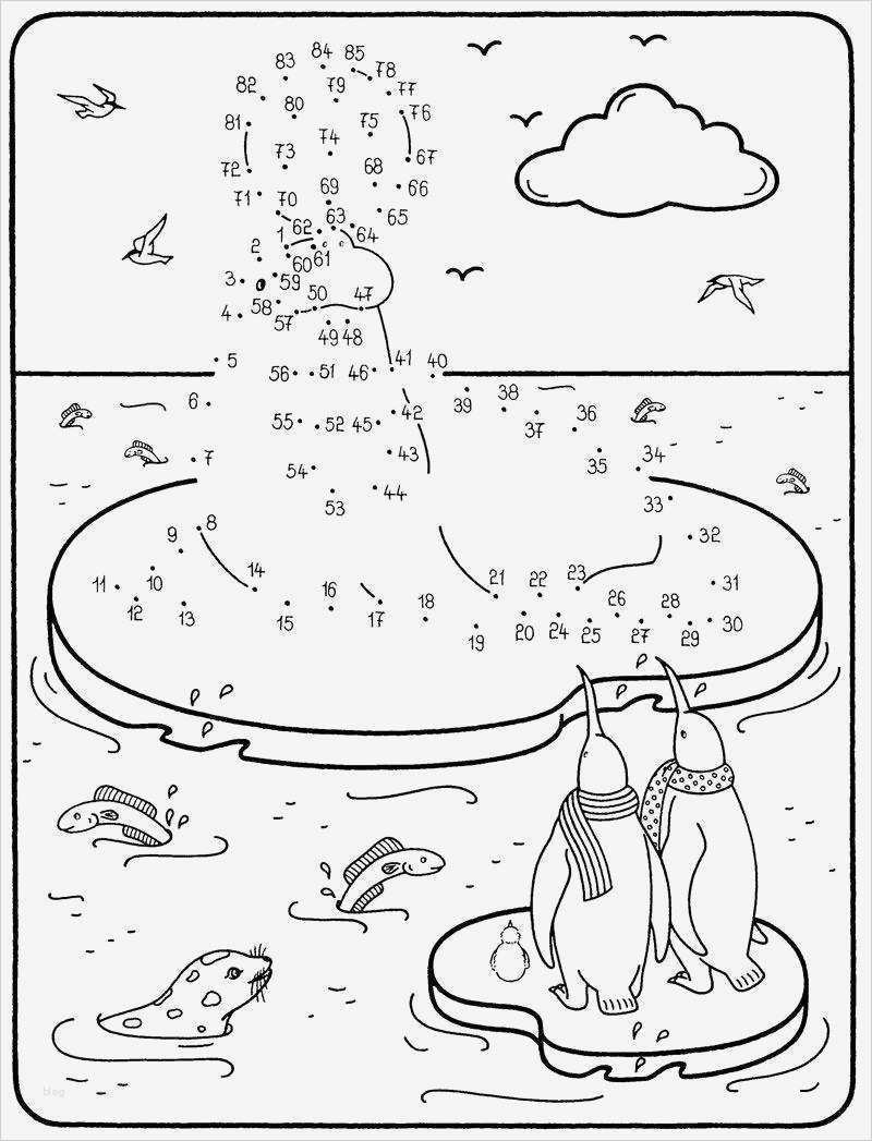 Malen Nach Zahlen Vorlagen Kostenlos Ausdrucken Erstaunlich Ausmalbild Malen Nach Zahlen Walross Kostenlos Ausdrucken