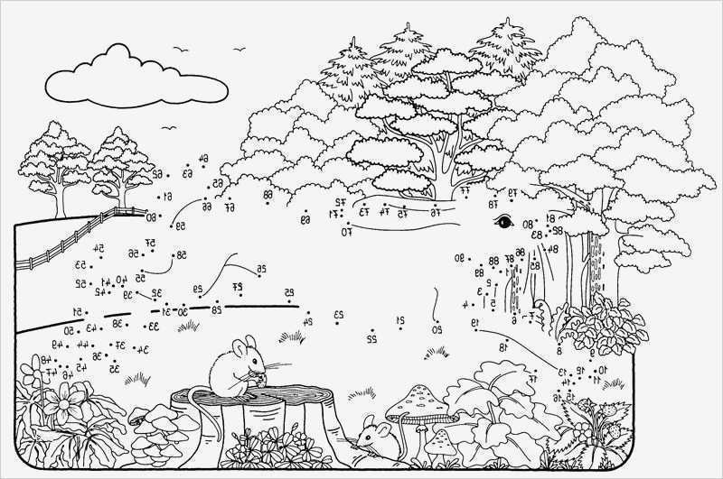 Malen Nach Zahlen Vorlagen Schönste Kind Vorlagen Medaillen Zum Ausdrucken Kinder Kind