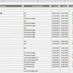 Management Cockpit Excel Vorlage Bewundernswert Erfreut Projektmanagement Vorlage Excel Ideen Beispiel