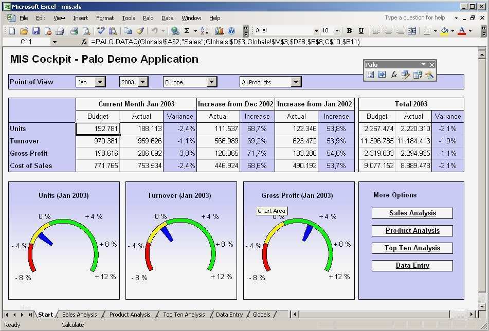 Management Cockpit Excel Vorlage Wunderbar Palo Server 1 5 Open source Datenbank Für Excel Daten