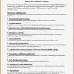 Management Summary Vorlage Word Erstaunlich Microsoft Word Executive Summary Template