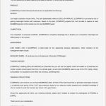 Management Summary Vorlage Word Schön Erfreut Project Summary Word Vorlage Galerie Bilder Für