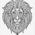 Mandala Vorlagen Zum Ausdrucken Bewundernswert Ausmalbilder Für Erwachsene Zum Ausdrucken 30 Schöne