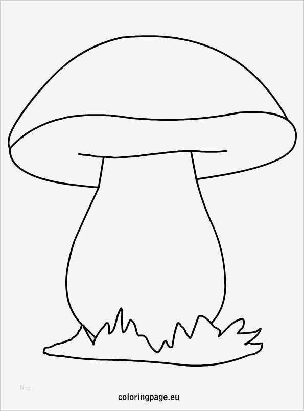Manuelle therapie Befund Vorlage Wunderbar Mushroom Coloring Page Draw In Yourself Your Own Animal