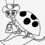 Marienkäfer Vorlage Beste Ausmalbilder Marienkafer Kostenlos Malvorlagen Zum