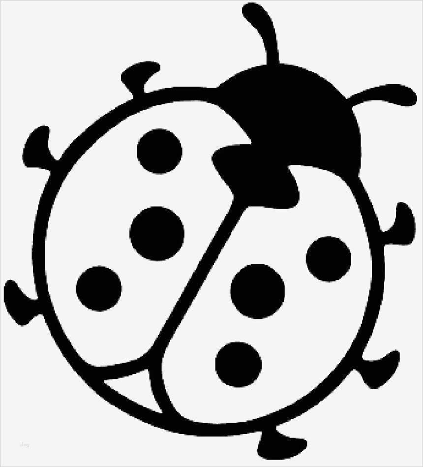 Marienkäfer Vorlage Cool Nett Marienkäfer Einladungsvorlage Bilder Entry Level