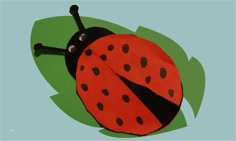 Marienkäfer Vorlage Erstaunlich Marienkäfer Basteln Liebt Kinder