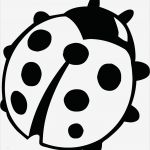 Marienkäfer Vorlage Gut Marienkäfer Marienkäfer Alissa Pinterest