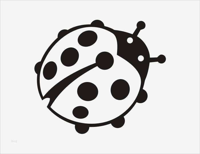 Marienkäfer Käfer Silhouette Animals