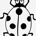 Marienkäfer Vorlage Süß Marienkaefer Mit Sieben Punkten Ausmalbild &amp; Malvorlage