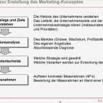 Marketingkonzept Vorlage Erstaunlich Großzügig Marketing Situation Analyse Vorlage
