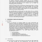 Marketingkonzept Vorlage Schönste Businessplan Beispiel Kleid