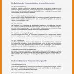 Marketingkonzept Vorlage Süß 14 Konzept Vorlagen