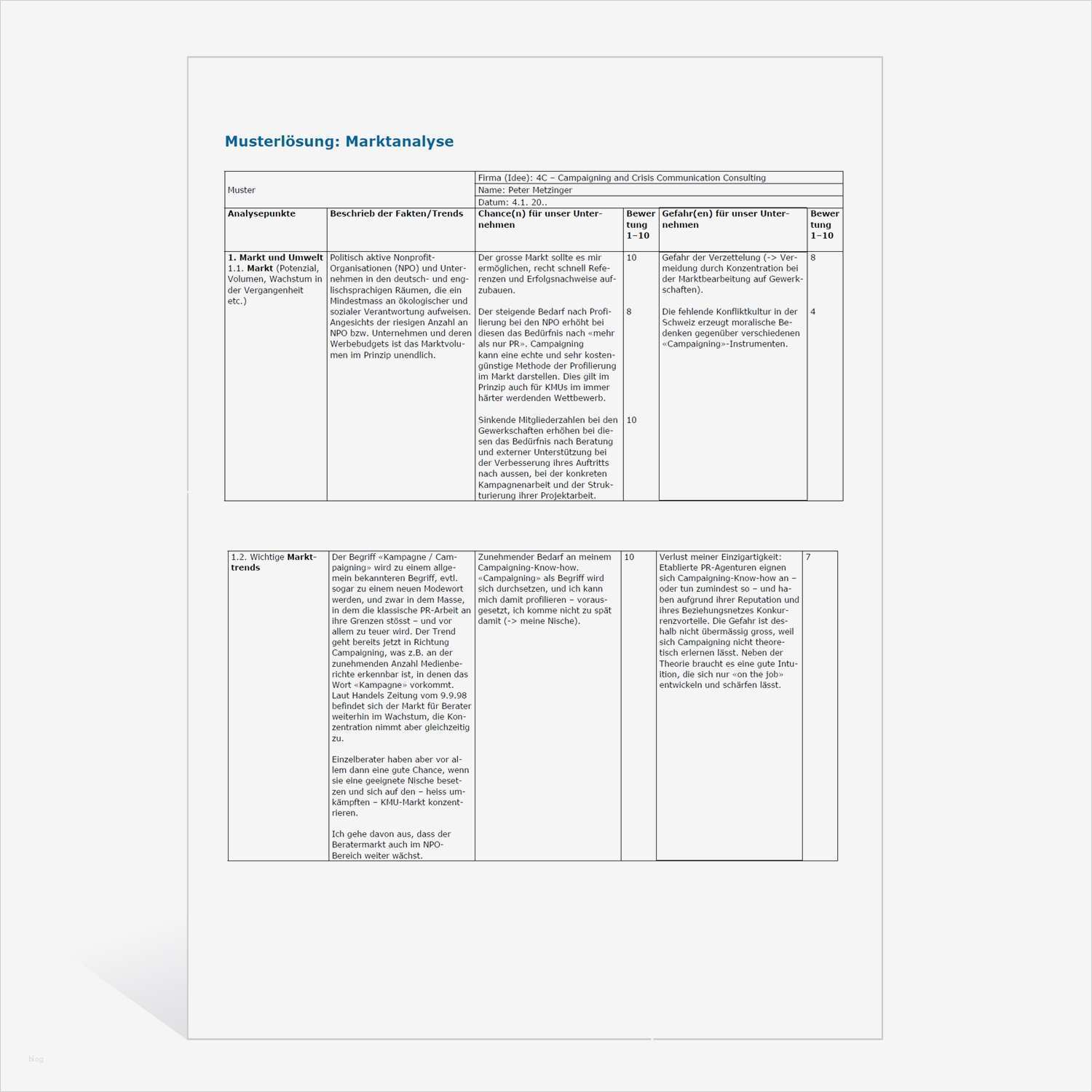 Marktanalyse Vorlage Bewundernswert Musterlösung Marktanalyse