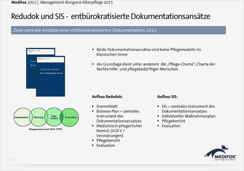 Maßnahmenplan Vorlage Pflege Best Of Schritt Für Schritt Zur Zeitgemäßen Pflegedokumentation Pdf