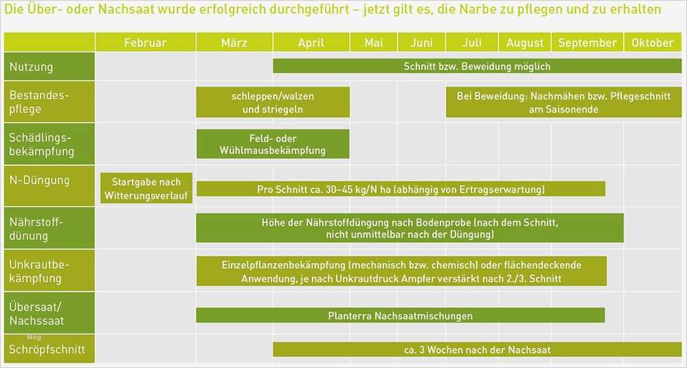 Maßnahmenplan Vorlage Pflege Elegant Grünlandpflege