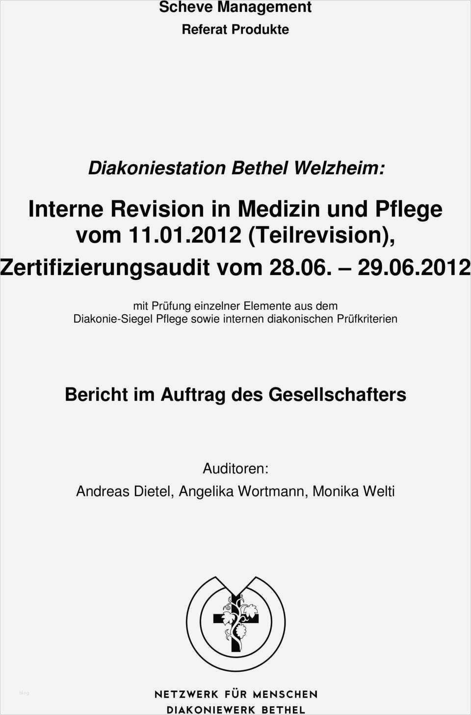 Maßnahmenplan Vorlage Pflege Schön Groß Vorlage Für Interne Prüfungen Zeitgenössisch Entry