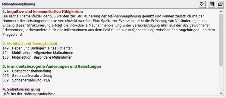 Maßnahmenplan Vorlage Pflege Schönste ats Putersysteme Gmbhwindia Pflegeplanung