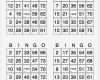 Mathe Bingo Vorlage Einzigartig Printable Bingo Cards with Numbers