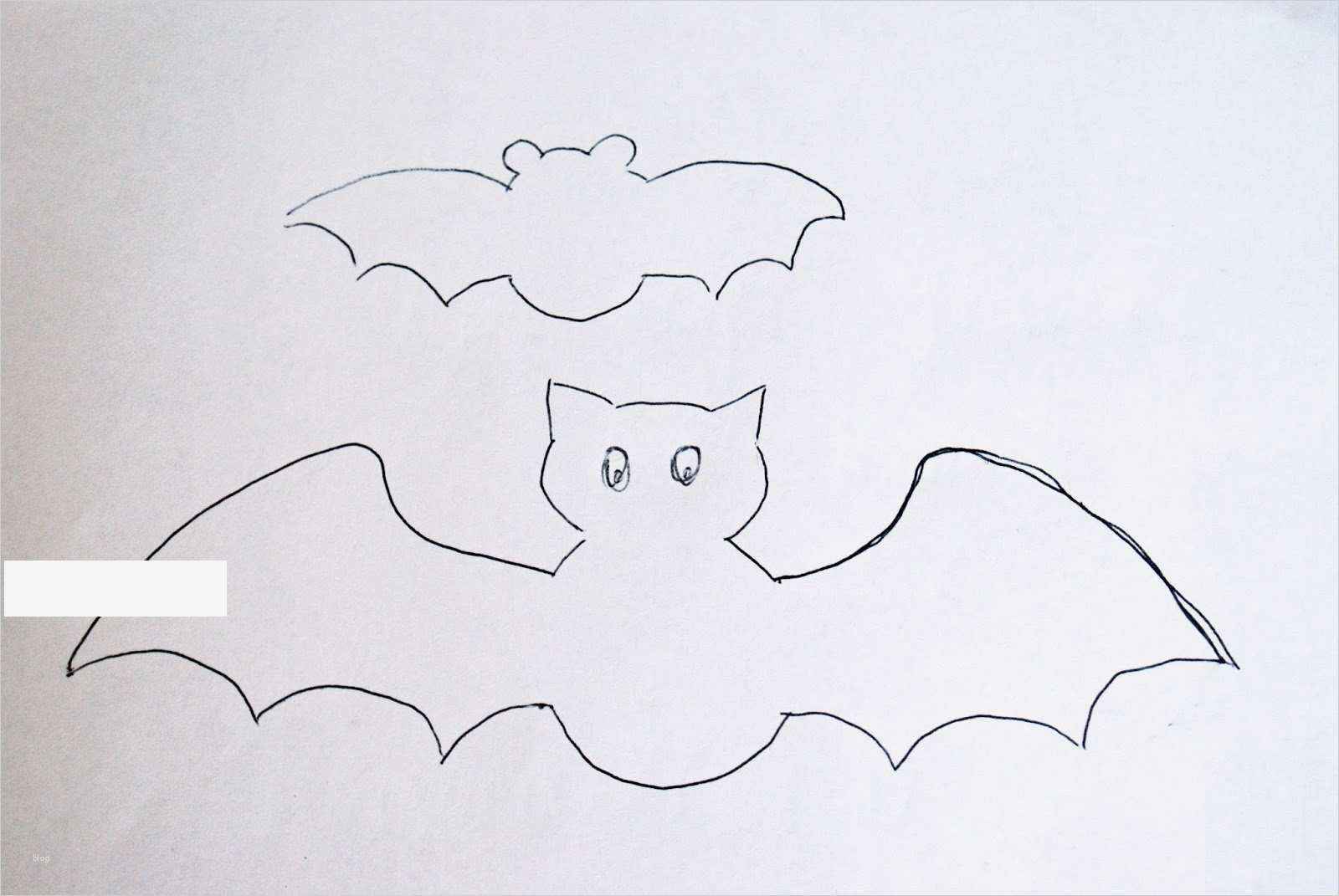 Maus Basteln Vorlage Angenehm Fledermaus Vorlage Ausschneiden Ausmalbilder Von Vorlage