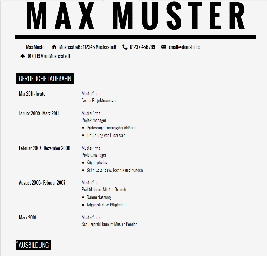 der lebenslauf muster lebenslauf 2017 lebenslauf