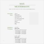 Max Mustermann Bewerbung Vorlage Hübsch Klassisch Grün Tabellarischer Lebenslauf