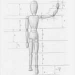 Menschen Zeichnen Vorlagen Angenehm Menschen Zeichnen Proportionen Mann Und Frau Zeichenkurs