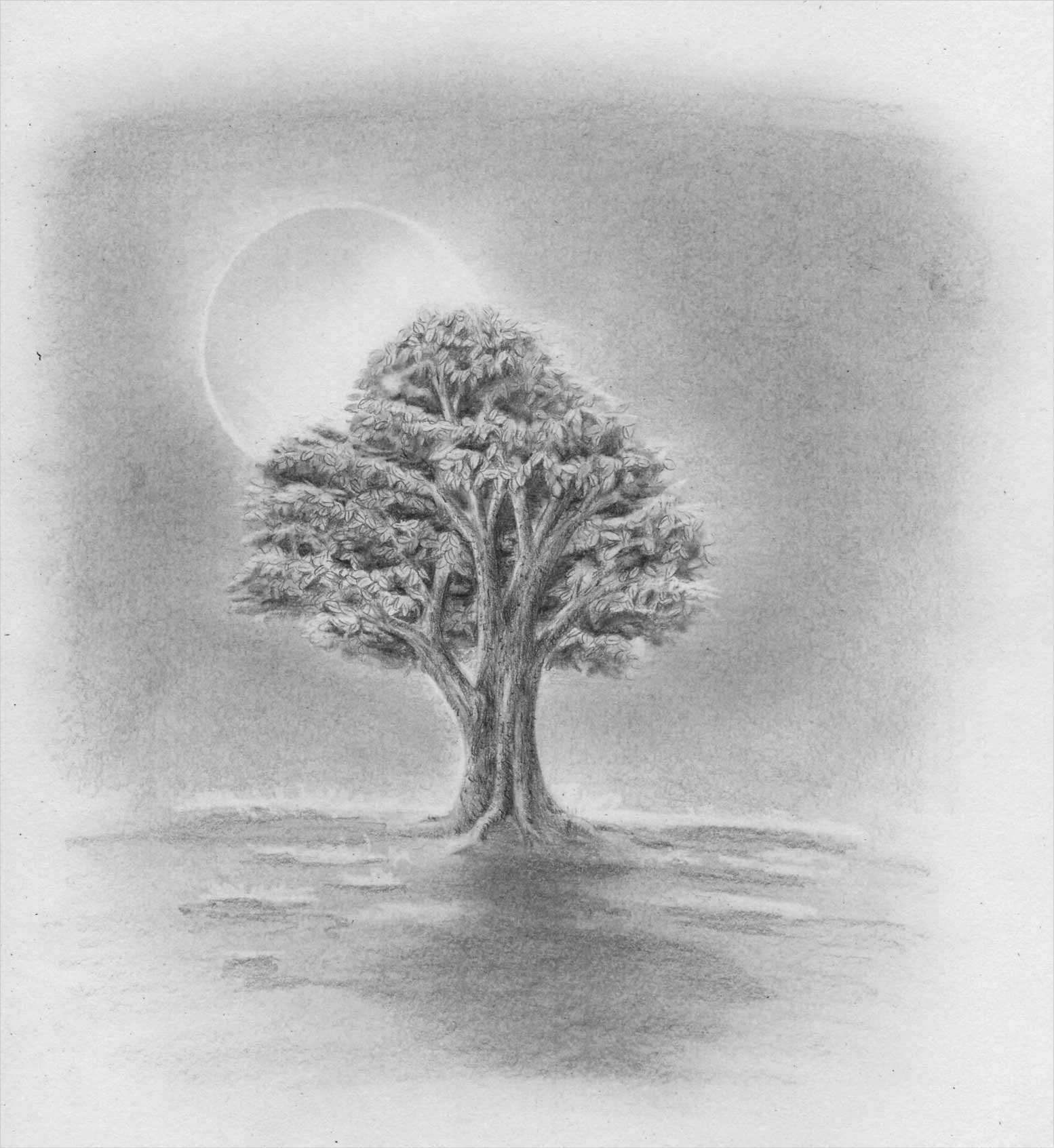 Menschen Zeichnen Vorlagen Cool Menschen Zeichnen Lernen Rw32