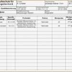 Messprotokoll Vorlage Excel Süß Charmant Fehleranalyse Vorlage Bilder Entry Level Resume