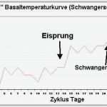 Messprotokoll Vorlage Metall Angenehm Wunderbar Temperaturdiagramm Vorlage Galerie