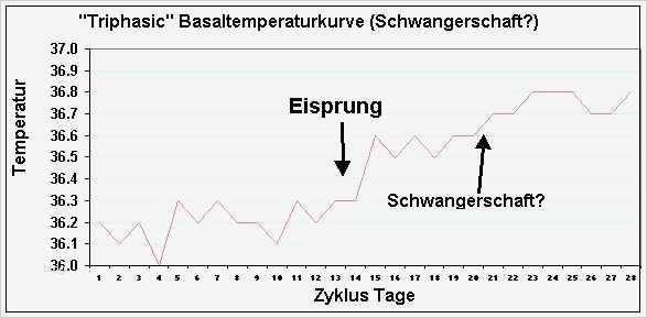 Messprotokoll Vorlage Metall Angenehm Wunderbar Temperaturdiagramm Vorlage Galerie
