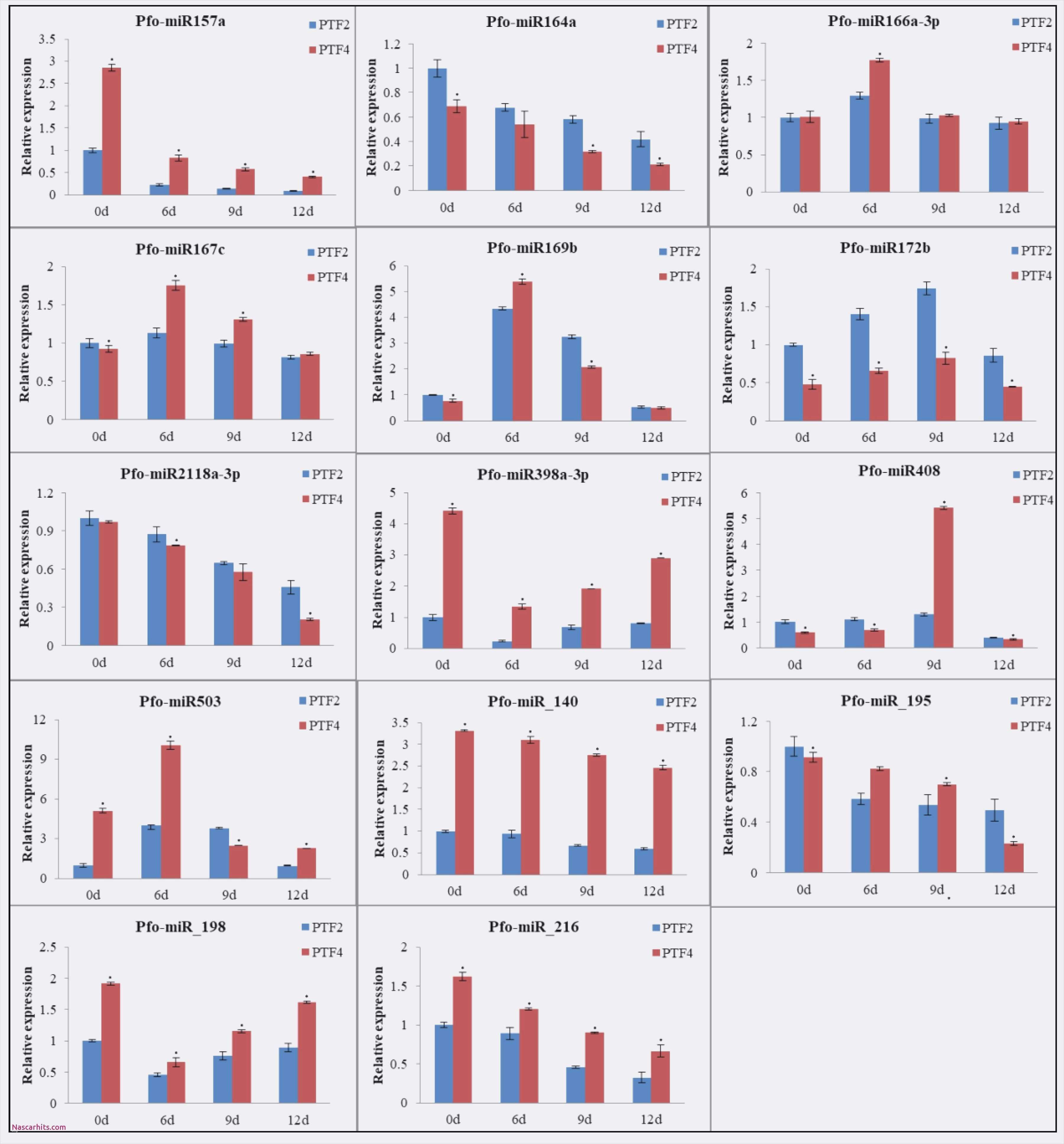 Microsoft Powerpoint Vorlagen Best Of Gemütlich Microsoft Powerpoint Vorlagen Ideen Vorlagen