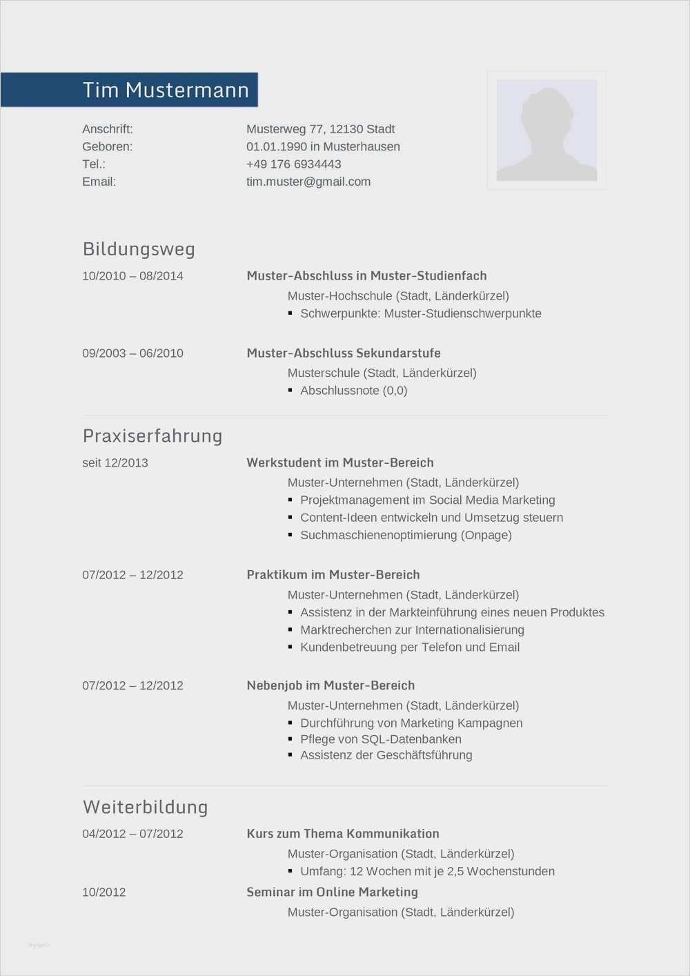 Microsoft Vorlagen Lebenslauf Bewundernswert Wunderbar Kostenloser Professioneller Lebenslauf Vorlagen